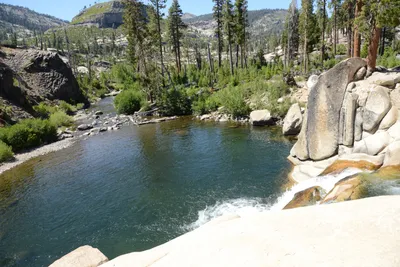 DSC_3790 (Large).JPG